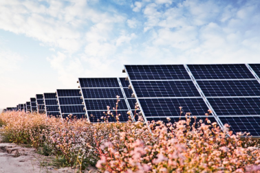 中國華能的“高性價比”光伏電站，妙招在這里！